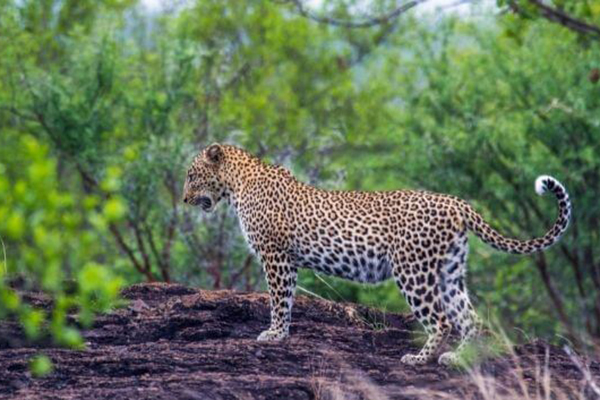National Parks Sri Lanka